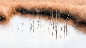 Engbertsdijksvenen (3)