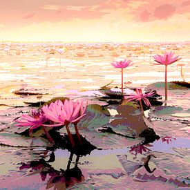 La beauté du lotus rouge dans le lac sur Mimone