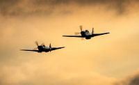P51 Mustangs in sunset