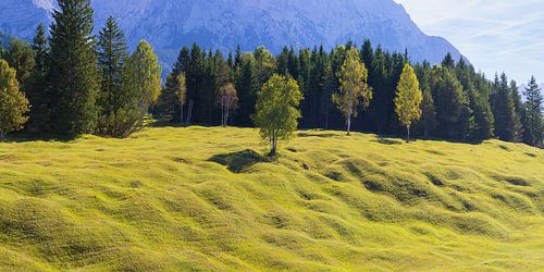 Buckelwiesen, Werdenfelser Land