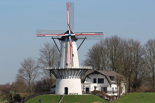 Molenzicht