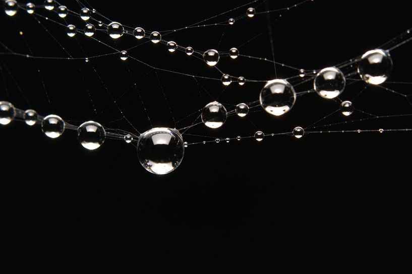 Waterdruppels by René van Proosdij