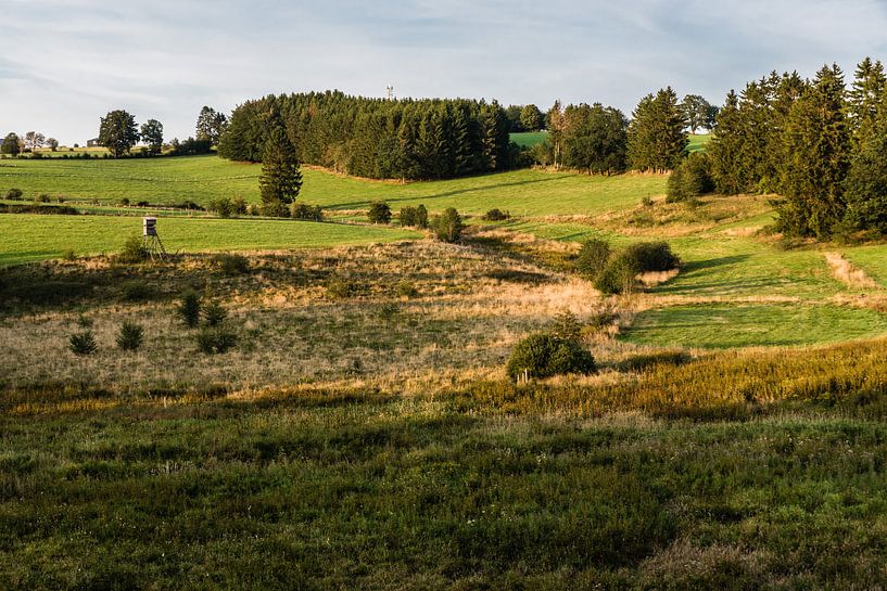 Hills by evening light by Werner Lerooy