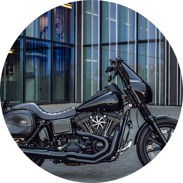 Harley Davidson van Bas Fransen