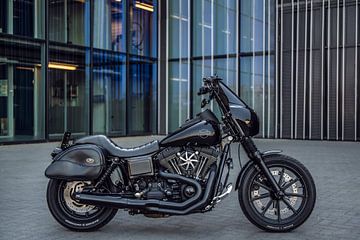 Harley Davidson sur Bas Fransen