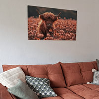 Klantfoto: Schotse Hooglanders: Schotse Schemering van ByNoukk, op canvas