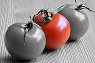Reife Tomaten von Heiko Kueverling Miniaturansicht