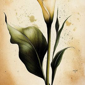 Calla-Lilie in Sepia Nr. 1 von Studio BB