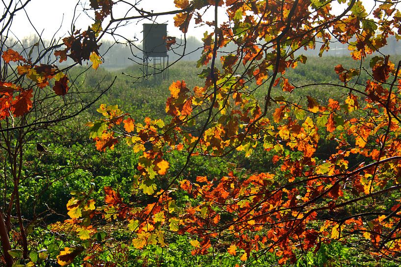 Haar grenspad 3 van Edgar Schermaul