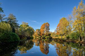 Herbst in Amstelveen