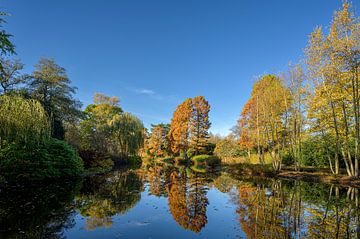 L'automne à Amstelveen