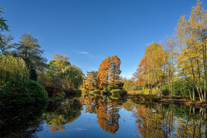 L'automne à Amstelveen par Peter Bartelings