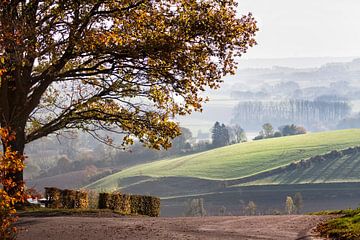 Hilly landscape in autumn by peter reinders