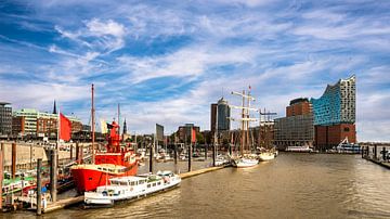 Panorama haven van Hamburg met lichtschip en Elbe Philharmonic Hall van Dieter Walther