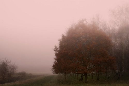 ochtend licht, morning light,Morgenlicht, lumière du matin