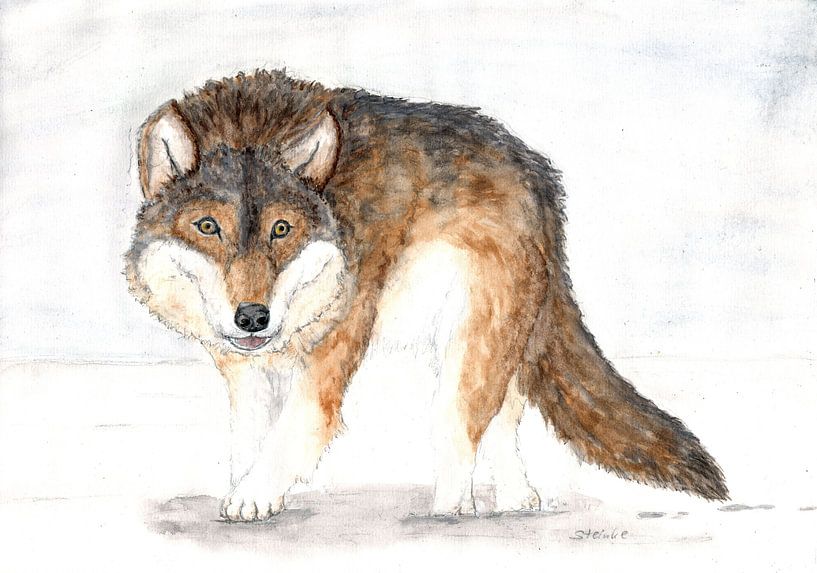 Wolf by Sandra Steinke