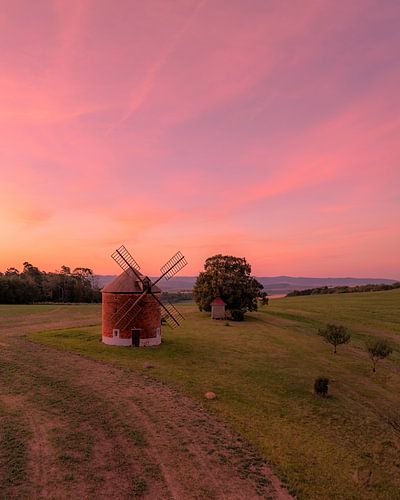 Molen in open landschap bij roze zonsondergang