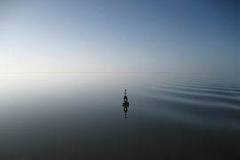 Faszinierend von Nanette de Jong