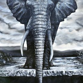 drinking african elephant von Walter Semay