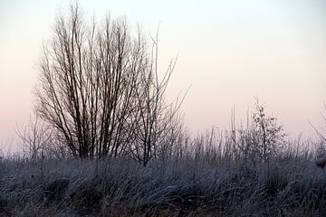 Winter in Friesland van Fotografie Sybrandy
