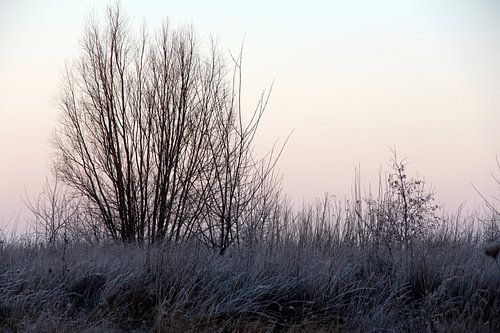 Winter in Friesland