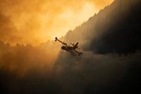 Wildfire, Italy - 01