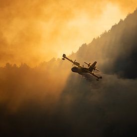 Feu de forêt, Italie - 01 sur Jorn Wilms