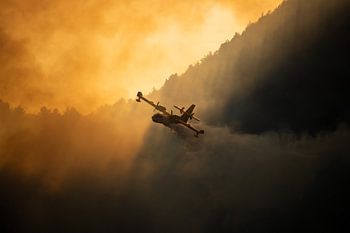 Lauffeuer, Italien - 01