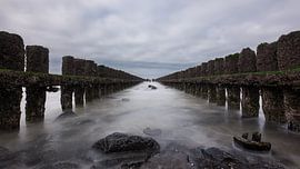 Symmetrischer Pfahlkopf bei Westkapelle