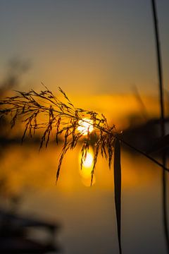 Zonsondergang by Maria elican