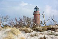 Hinter den Dünen - Leuchtturm Darßer Ort - Ostsee von Gisela Scheffbuch Miniaturansicht