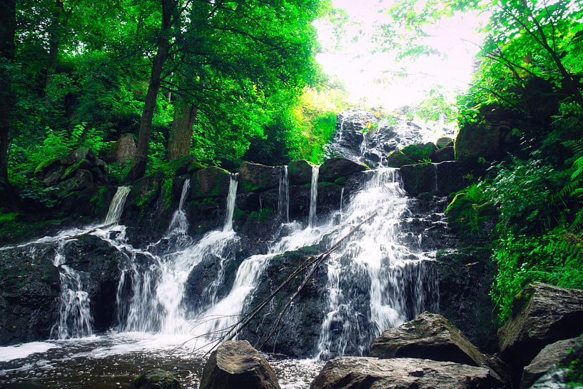 Kleiner Wasserfall im Wald mit Moos auf Steinen von Martin Köbsch