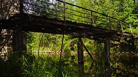 Old footbridge at a mill at the river Saalein Halle Saale in Germany