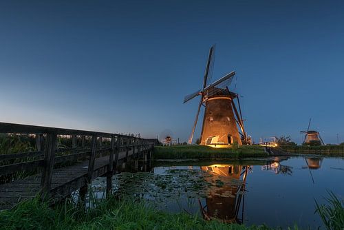 Brug naar het licht