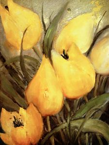 Gelbe Tulpen
