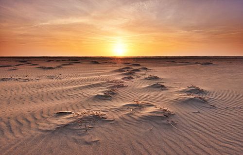 Strand Texel bij zonsondergang