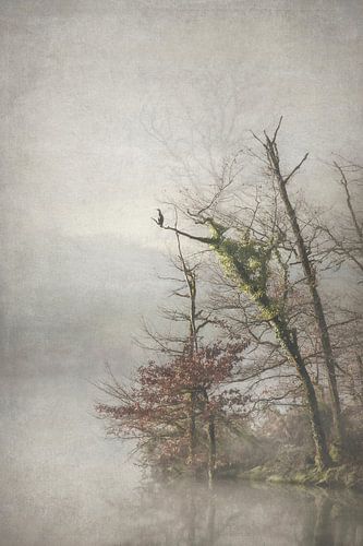 Oiseau perché sur un arbre