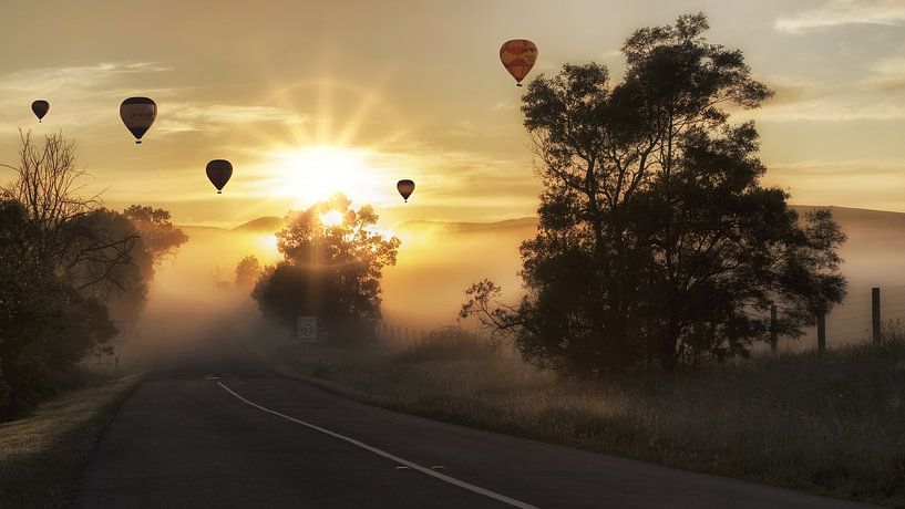 luchtballonnen boven een heiig landschap van Atelier Liesjes