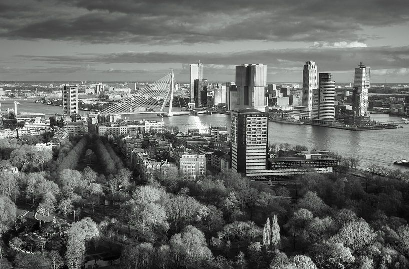 Skyline of Rotterdam in black & white van Ilya Korzelius