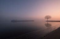 Beautiful misty sunrise along river Lek by Moetwil en van Dijk - Fotografie thumbnail