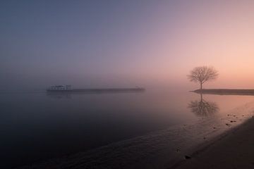 Beautiful misty sunrise along river Lek by Moetwil en van Dijk - Fotografie