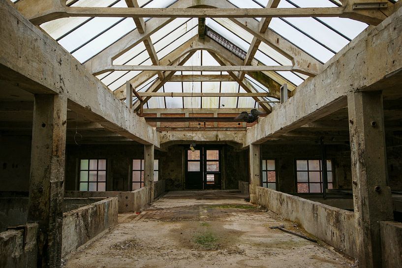 Koninklijke Lederfabriek Oisterwijk by Alice Berkien-van Mil