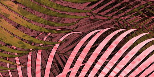 TROPICAL POPPY-PINK LEAVES-2P