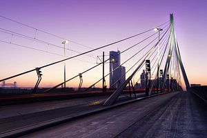 Erasmusbrug Rotterdam Zonsopkomst