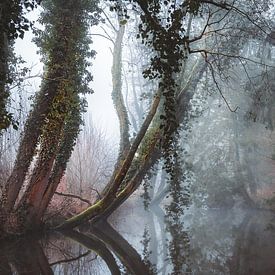 Een sprookjesachtige ochtend in Winterswijk van Erwin Kamp