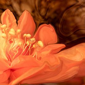 Tangerine Twisted. 1 by Alie Ekkelenkamp