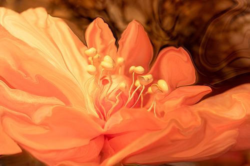 Tangerine Twisted. 1 by Alie Ekkelenkamp