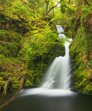 Tomies Wood - O'Sullivans Cascade (Ierland) van Marcel Kerdijk