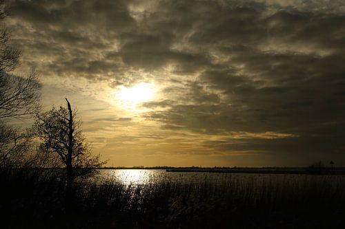 Uitzicht over het Sneekermeer