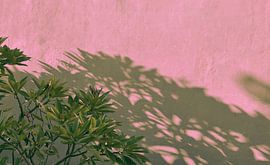 Bali Shadow on the Wall 1 van Raymond Wijngaard